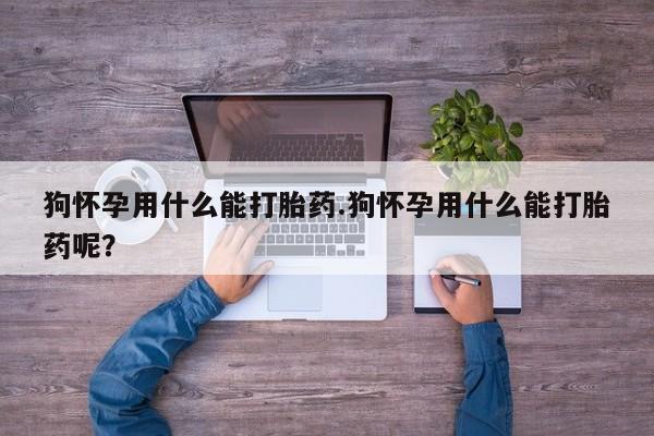 推荐个卖流产药的微信狗怀孕用什么能打胎药.狗怀孕用什么能打胎药呢？