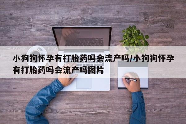 推荐个卖流产药的微信小狗狗怀孕有打胎药吗会流产吗/小狗狗怀孕有打胎药吗会流产吗图片