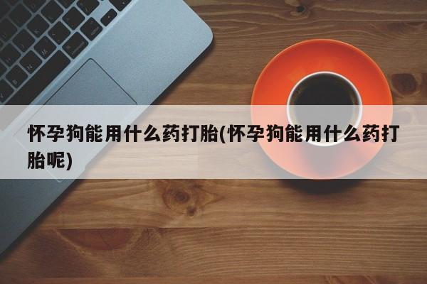 推荐个卖流产药的微信怀孕狗能用什么药打胎(怀孕狗能用什么药打胎呢)